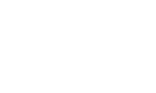 Experience