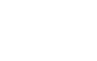 Engagement